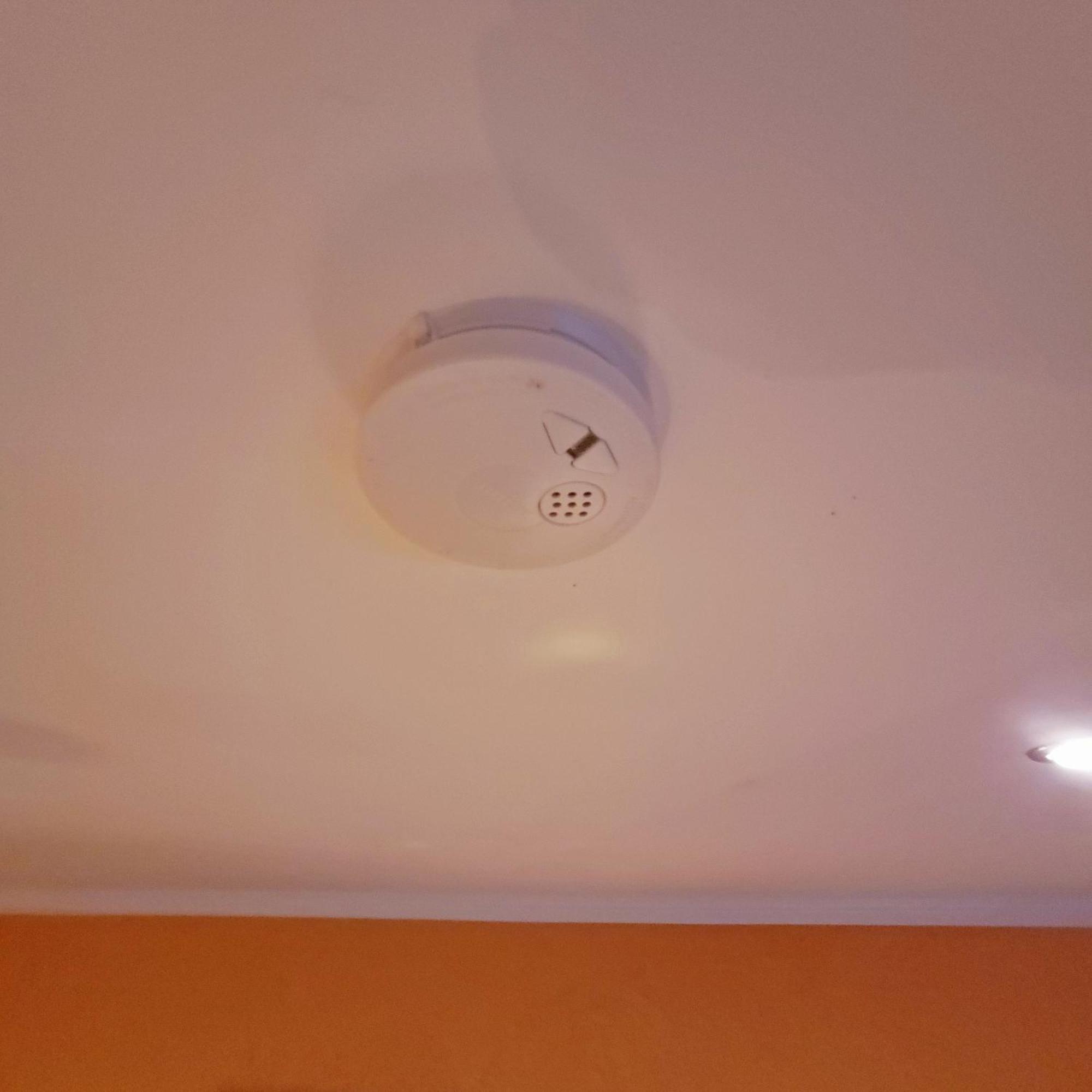 Apartment Close To Nature,Airport, Fair Ράτινγκεν Εξωτερικό φωτογραφία